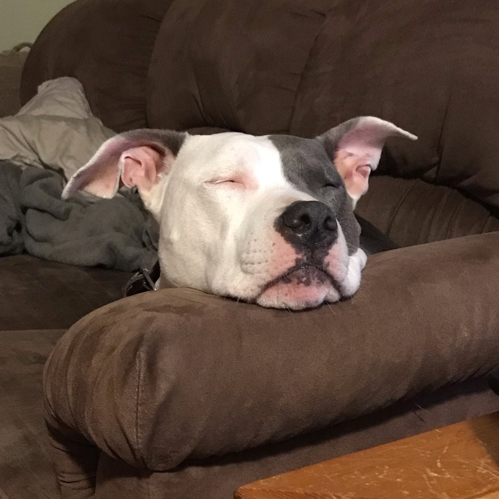 Meet your Posher, Lori